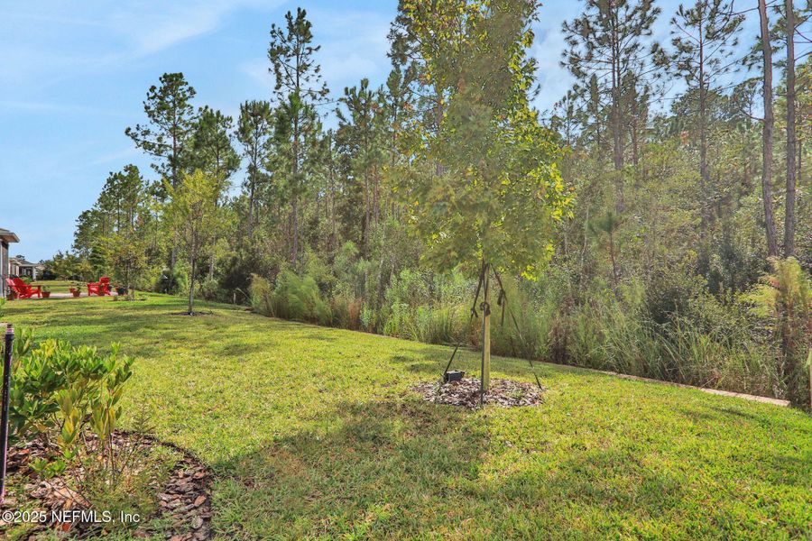Natural landscape and outdoor views near  in Yulee (Image 44).