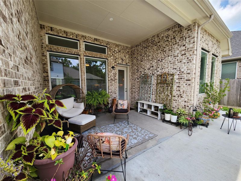 Exterior details and patio area of a home in The Woodlands Hills, Willis (Image 3).
