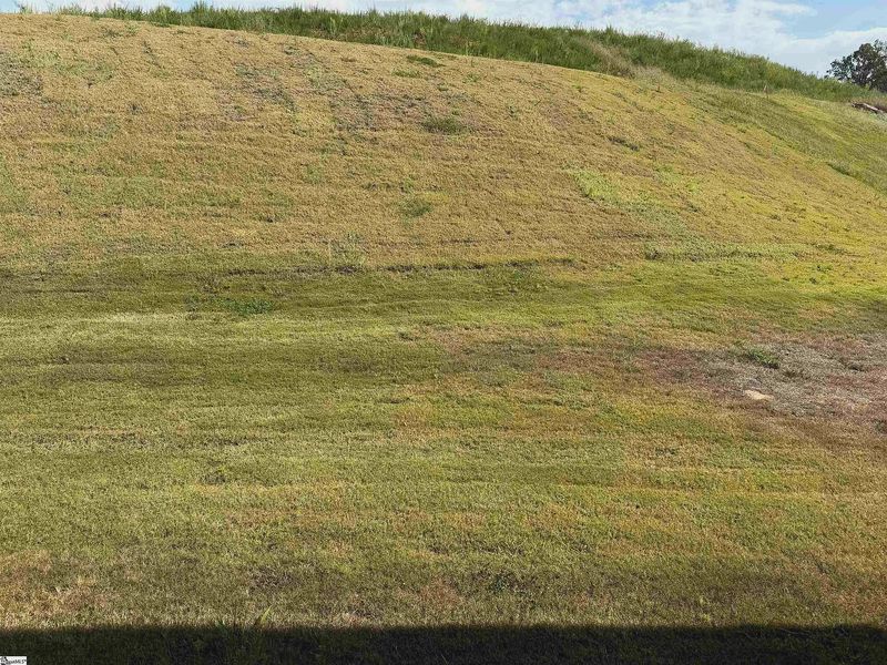 Natural landscape and outdoor views near Bracken Woods in Piedmont (Image 19).
