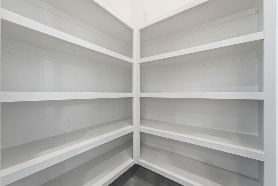 Spacious walk-in pantry with floor-to-ceiling shelving, offering abundant organized storage for a modern kitchen.