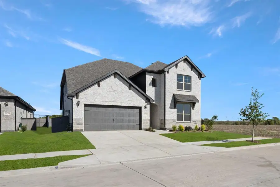 3122 Teasel- Front-2 3122 Teasel- Front-2