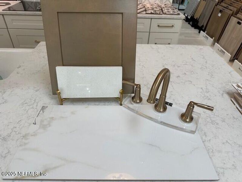 Sample of building materials used in homes in , Ponte Vedra (Image 35).