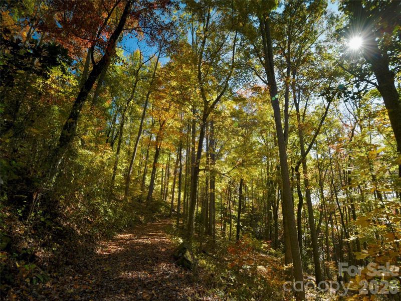 Natural landscape and outdoor views near in Arden (Image 9). Natural landscape and outdoor views near in Arden (Image 9).