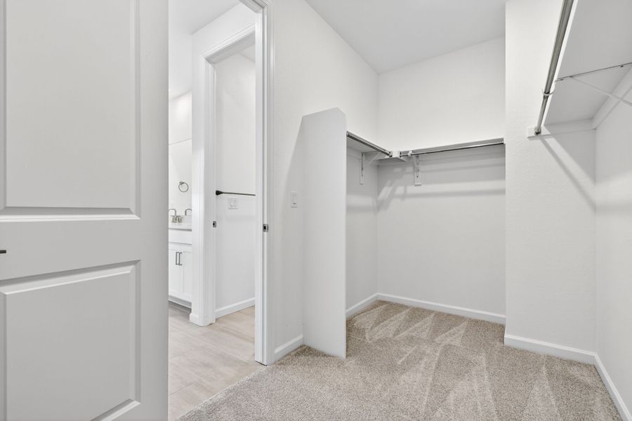 Spacious, unfurnished interior of a new home in Trailstone, Arvada (Image 22). Spacious, unfurnished interior of a new home in Trailstone, Arvada (Image 22).