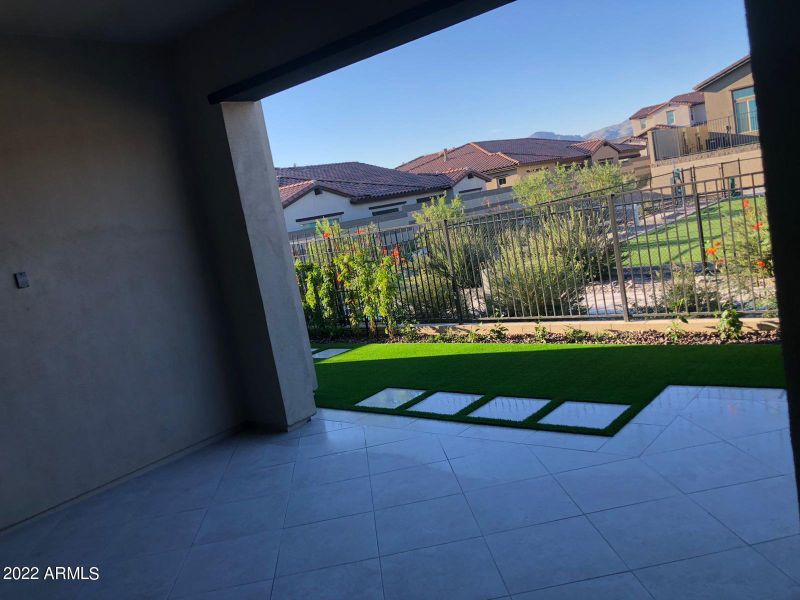 backs dog park backs dog park