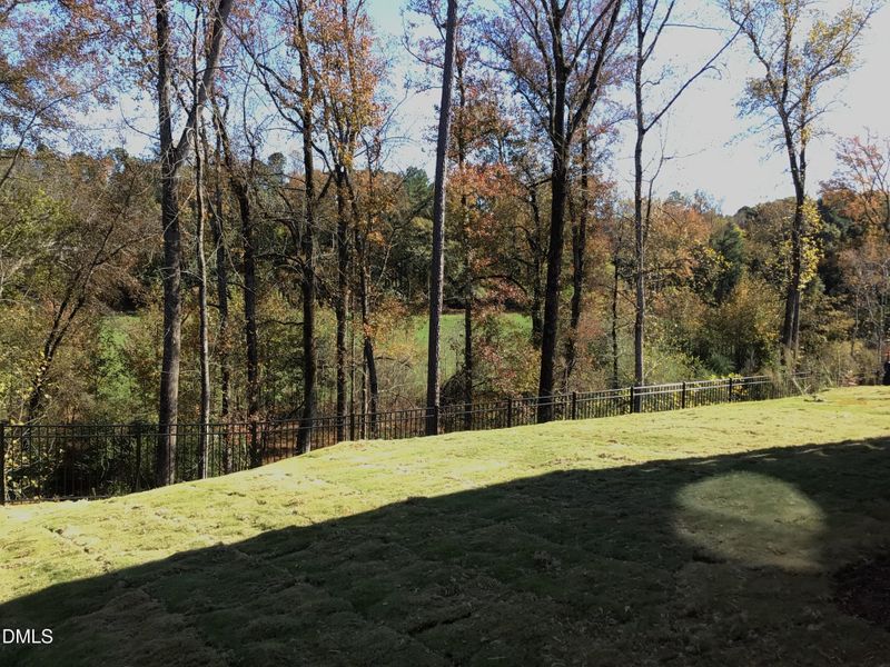 Photo_Nov_04_25 01-13-47 PM