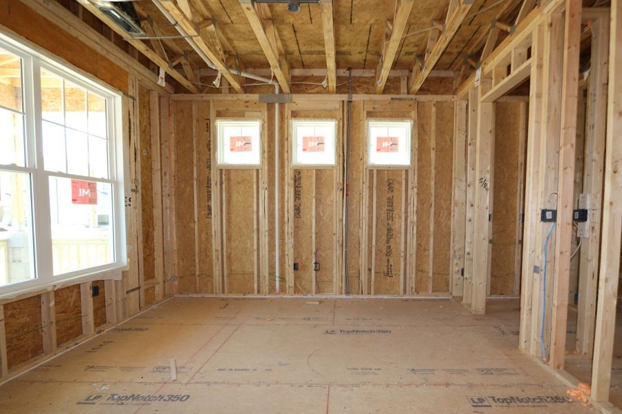 Framing Framing
