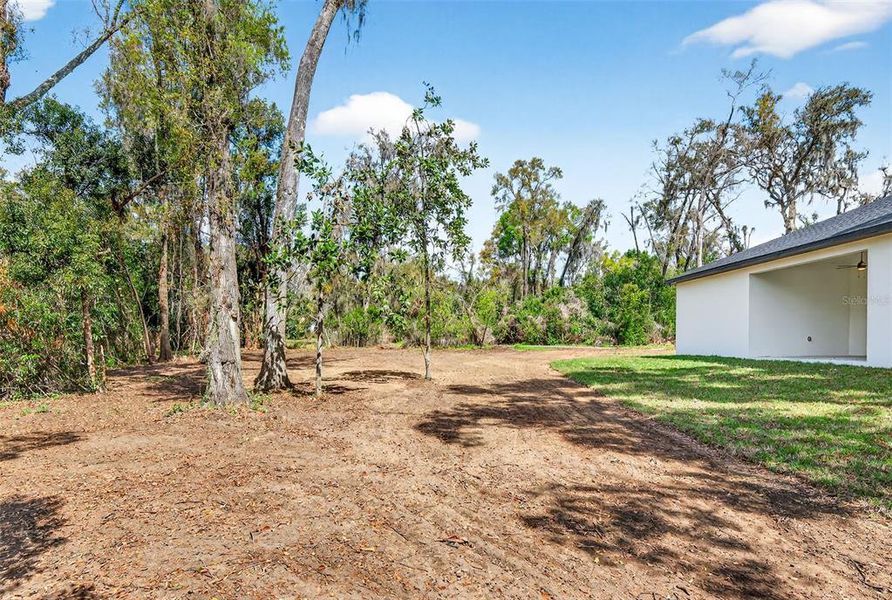 Natural landscape and outdoor views near  in Dade City (Image 40).