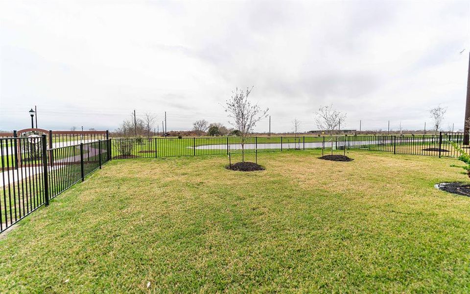 Image 14 of a home in Sierra Vista. Image 14 of a home in Sierra Vista.