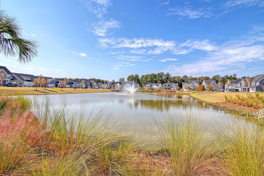 Natural landscape and outdoor views near Heron's Walk at Summers Corner in Summerville (Image 49).