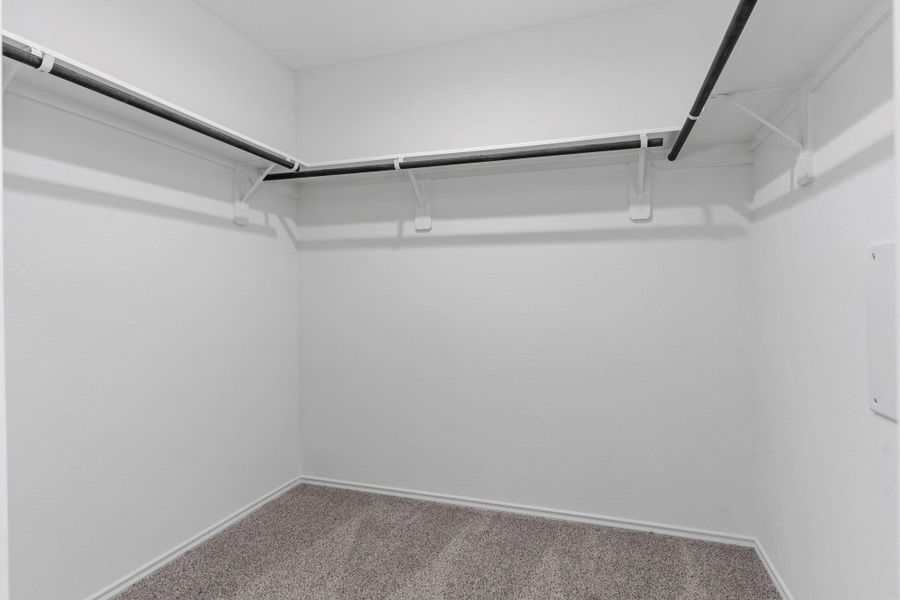 Spacious, unfurnished interior of a new home in Emberly, Beasley (Image 20).