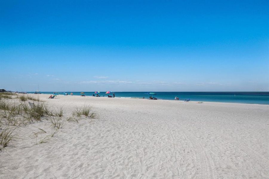 Natural landscape and outdoor views near  in Bradenton Beach (Image 66).
