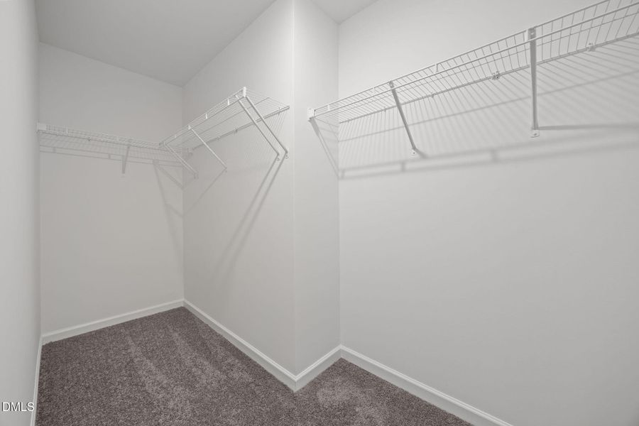 41-web-or-mls-6S8A5285