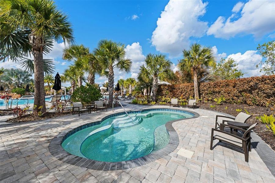 Community amenities in , Wesley Chapel (Image 41). Community amenities in , Wesley Chapel (Image 41).