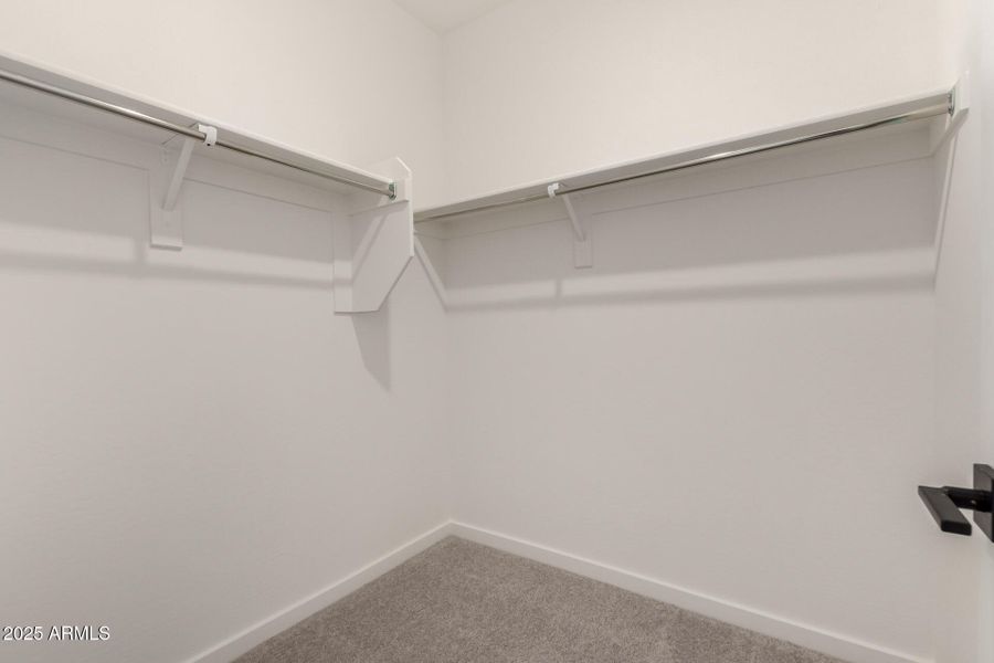 31 - Palo Brea 30154