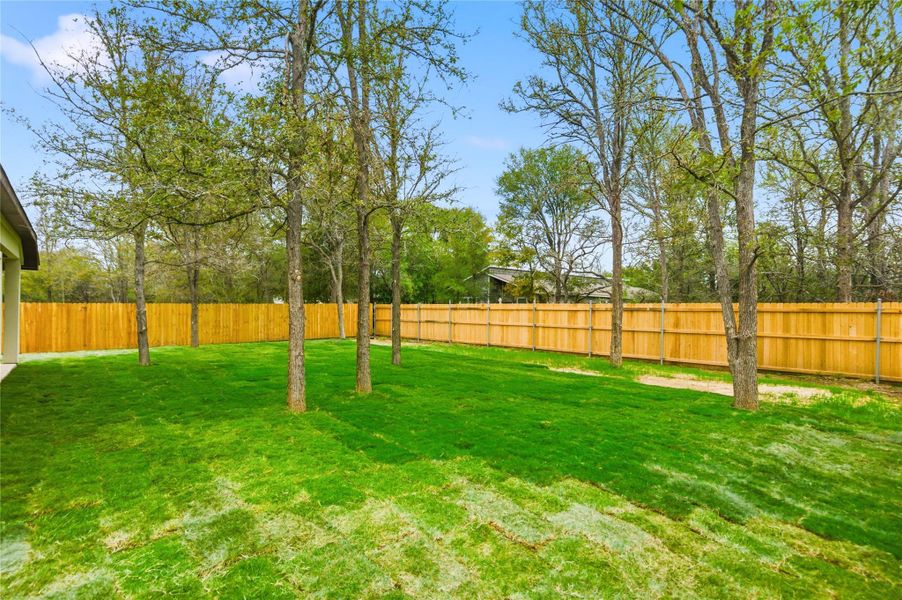 View of fenced backyard