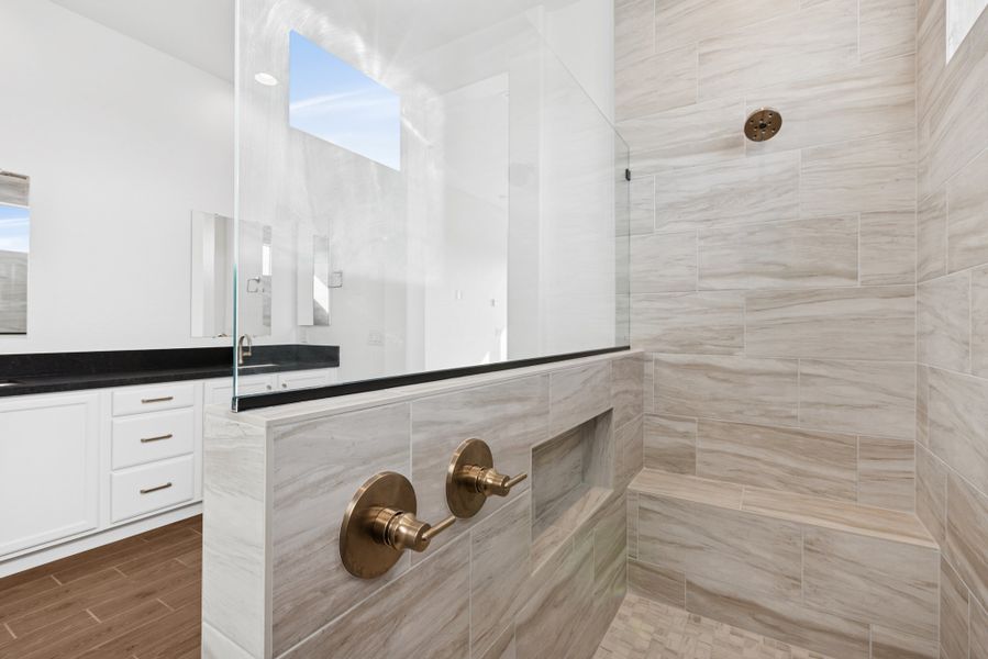 Owner's Bath