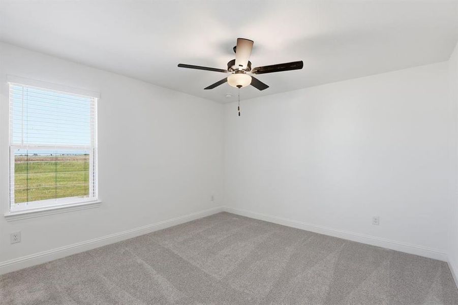 1017 Rainshower ~ Ready Now 1017 Rainshower ~ Ready Now