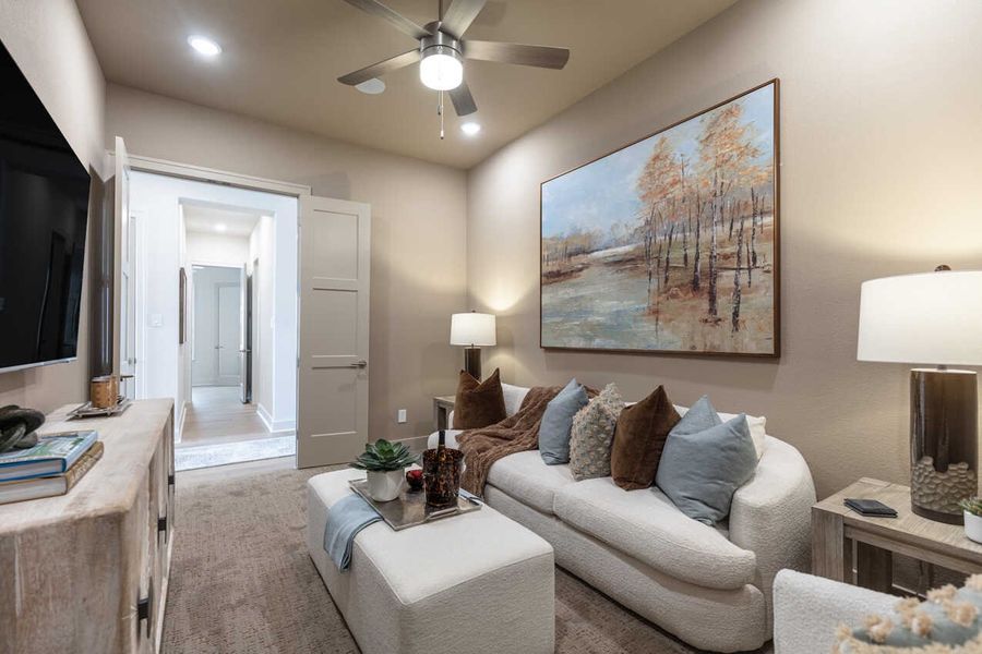 Entertainment Room