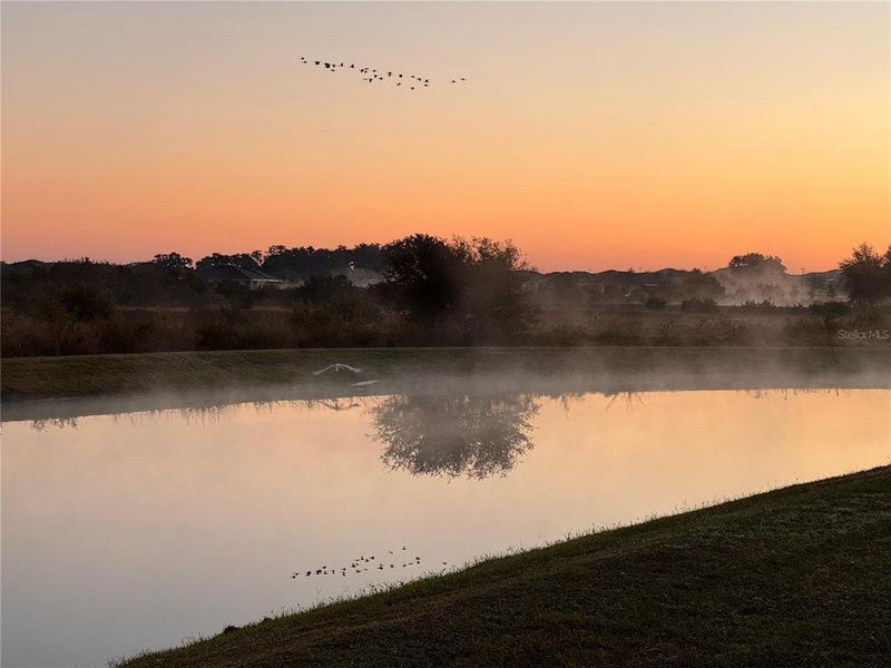 Natural landscape and outdoor views near in San Antonio (Image 55). Natural landscape and outdoor views near in San Antonio (Image 55).