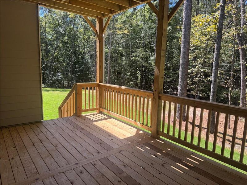 Exterior details and patio area of a home in The Fields of Walnut Creek, Pendergrass (Image 17).