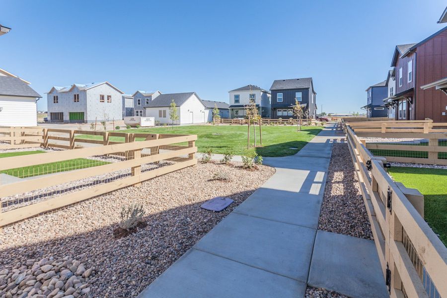 Exterior details and patio area of a home in Bloom, Fort Collins (Image 27).