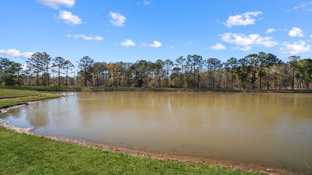 Natural landscape and outdoor views near Rice Hope in Port Wentworth (Image 37).