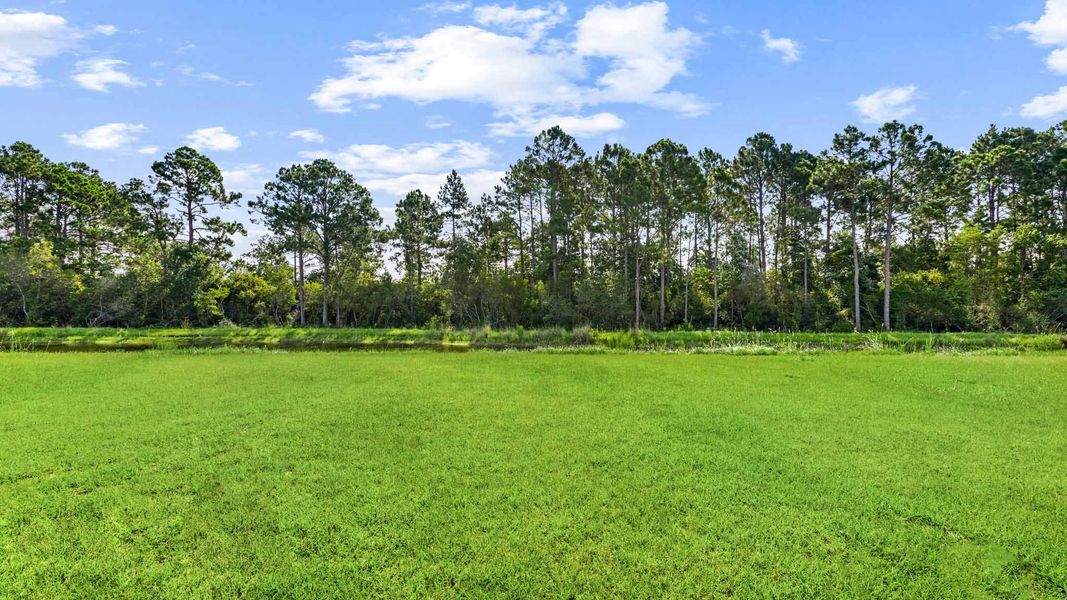 Natural landscape and outdoor views near Buffer Farms in Port Saint Joe (Image 33).