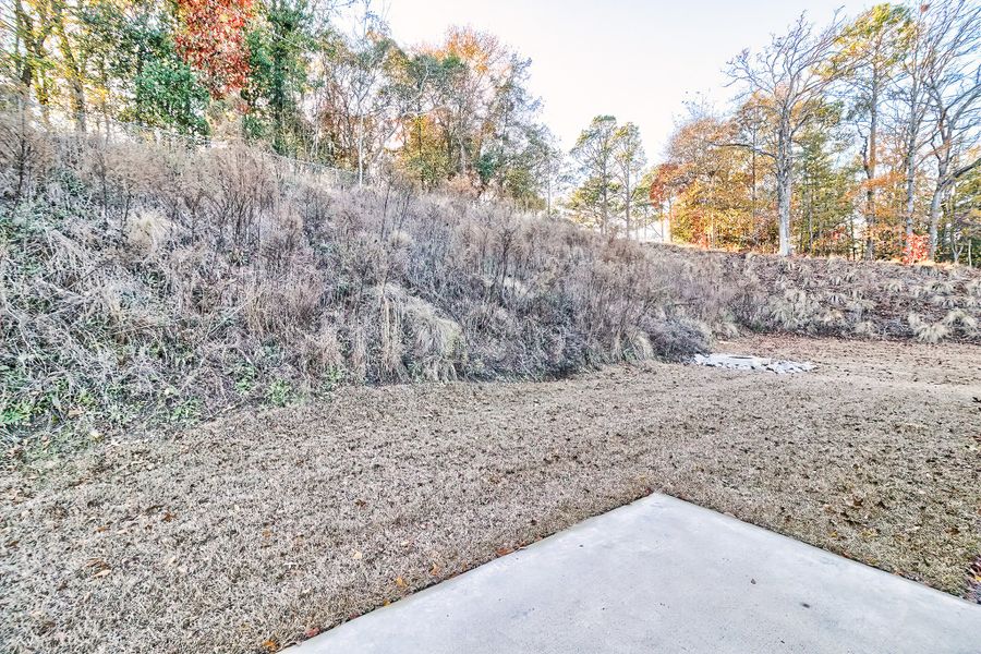 Natural landscape and outdoor views near Emanuel Creek in West Columbia (Image 36).