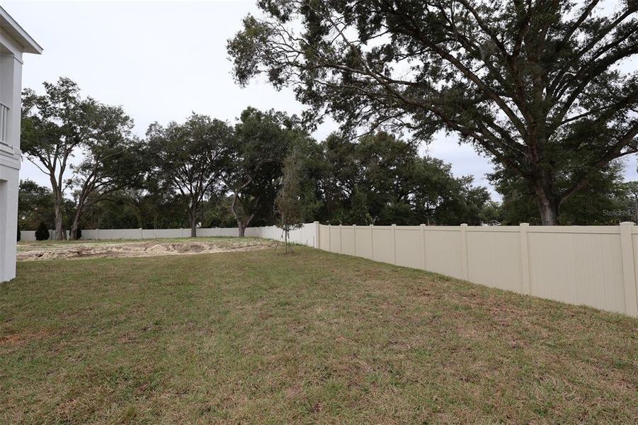 Exterior details and patio area of a home in Willow Run, Apopka (Image 18).