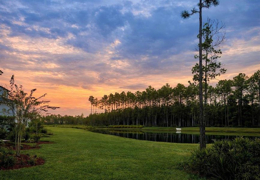 Natural landscape and outdoor views near  in Palm Coast (Image 6).