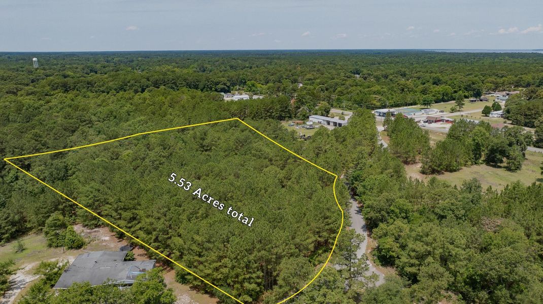 Natural landscape and outdoor views near  in Eutawville (Image 30).
