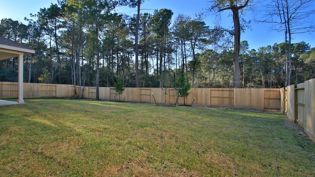 Exterior details and patio area of a home in The Woodlands Hills, Willis (Image 23).