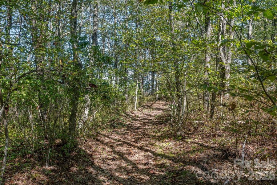 Natural landscape and outdoor views near  in Lake Toxaway (Image 35).