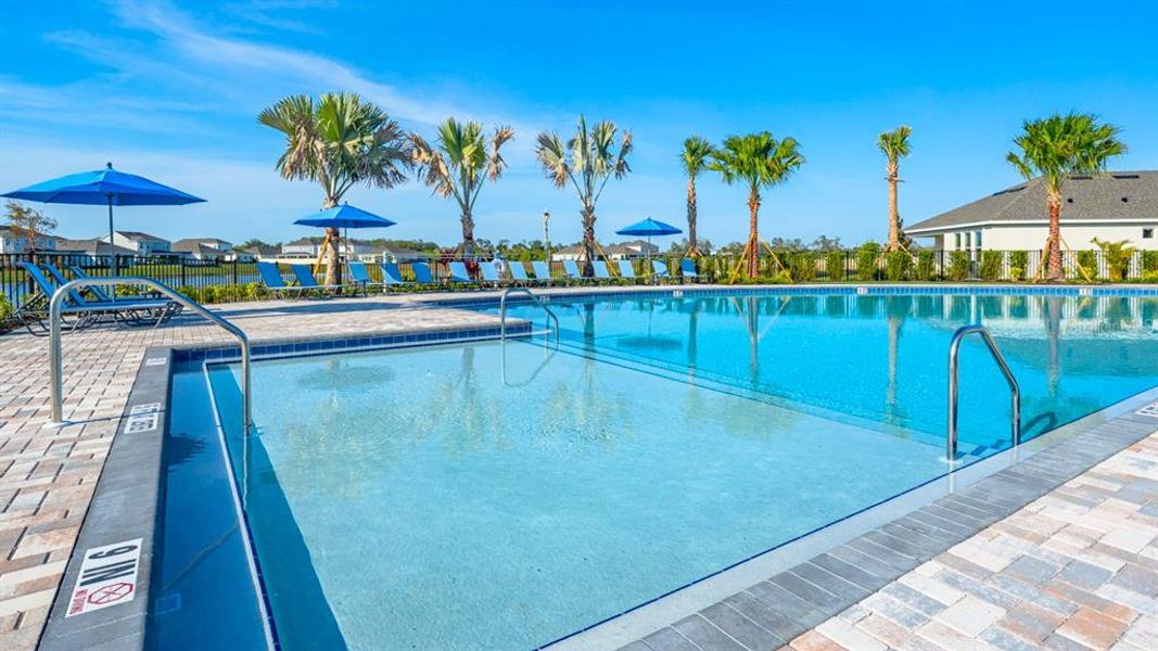 Community amenities in Indigo Creek, Apollo Beach (Image 65).