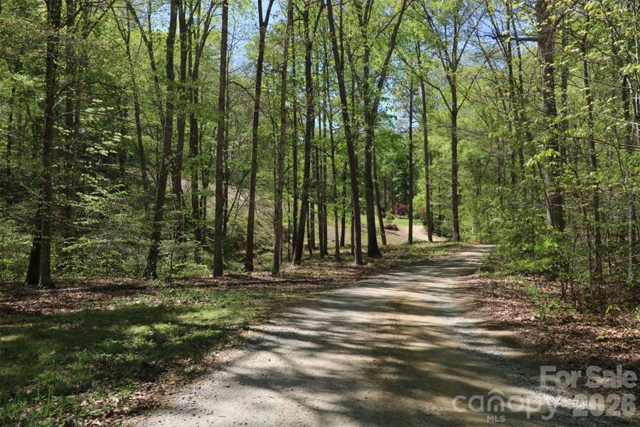 Natural landscape and outdoor views near  in Davidson (Image 28).