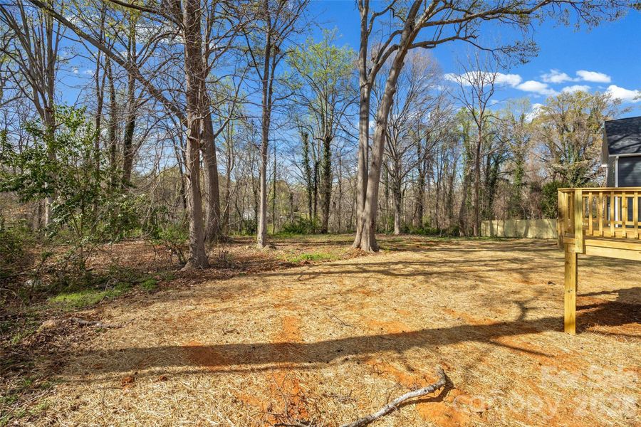 Natural landscape and outdoor views near  in Belmont (Image 31).