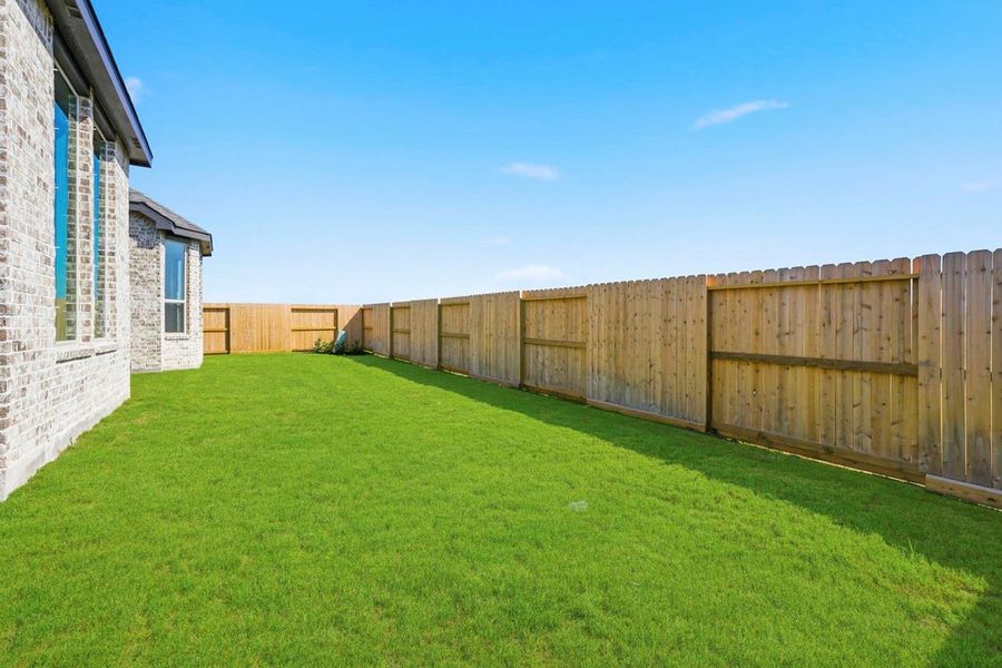 Backyard