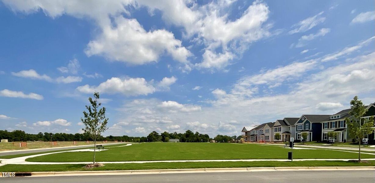 IMG_1107 Large IMG_1107 Large