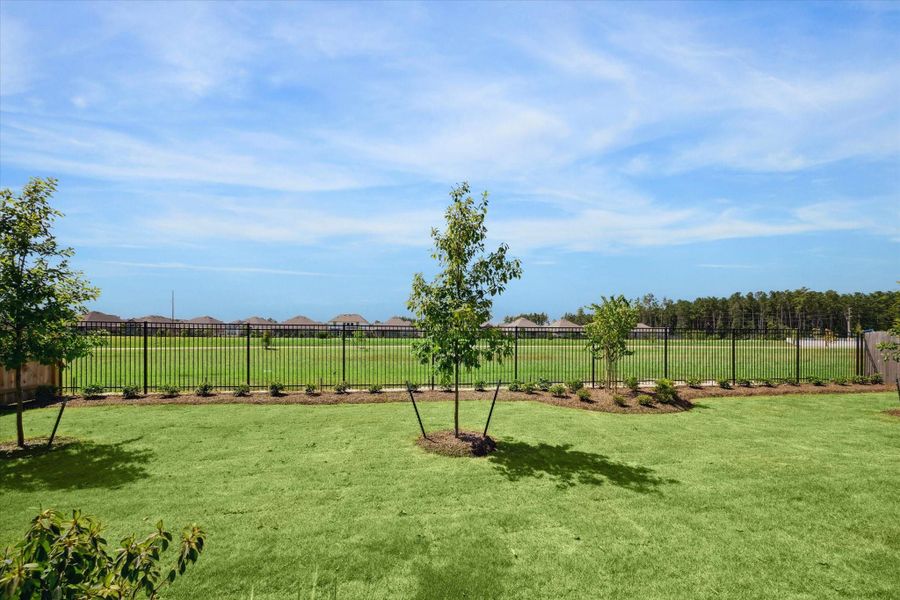 Natural landscape and outdoor views near Artavia in Conroe (Image 24).