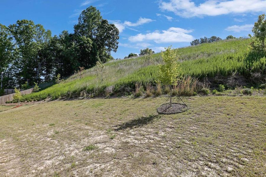 Natural landscape and outdoor views near Etowah Preserve in Dawsonville (Image 28).