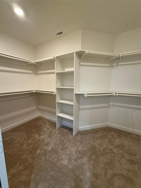 Walk in closet with carpet flooring and visible vents