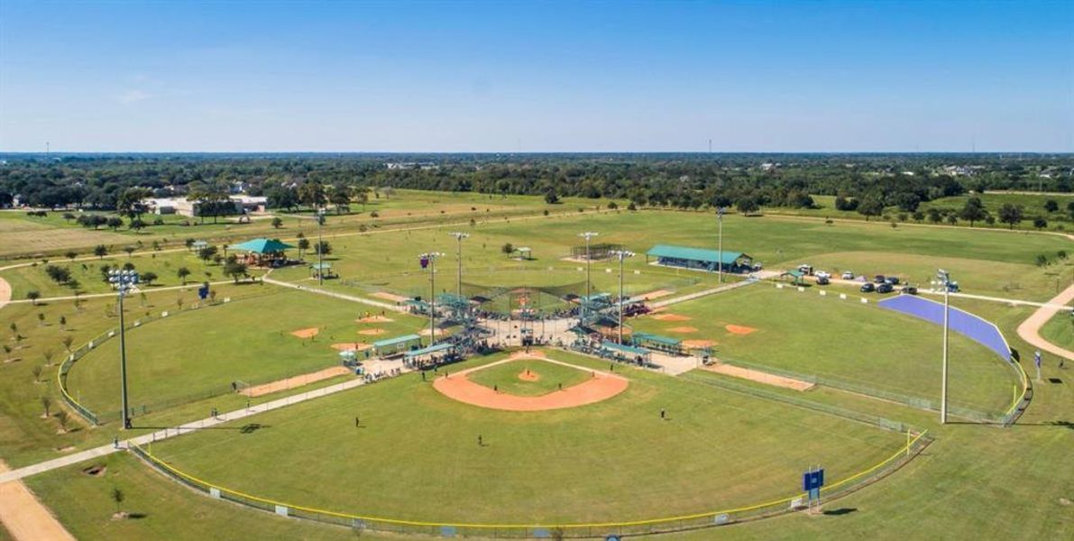 Catch a baseball game at Wildcat Stadium!