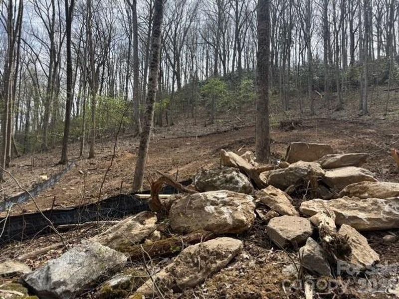 Natural landscape and outdoor views near  in Mars Hill (Image 6).