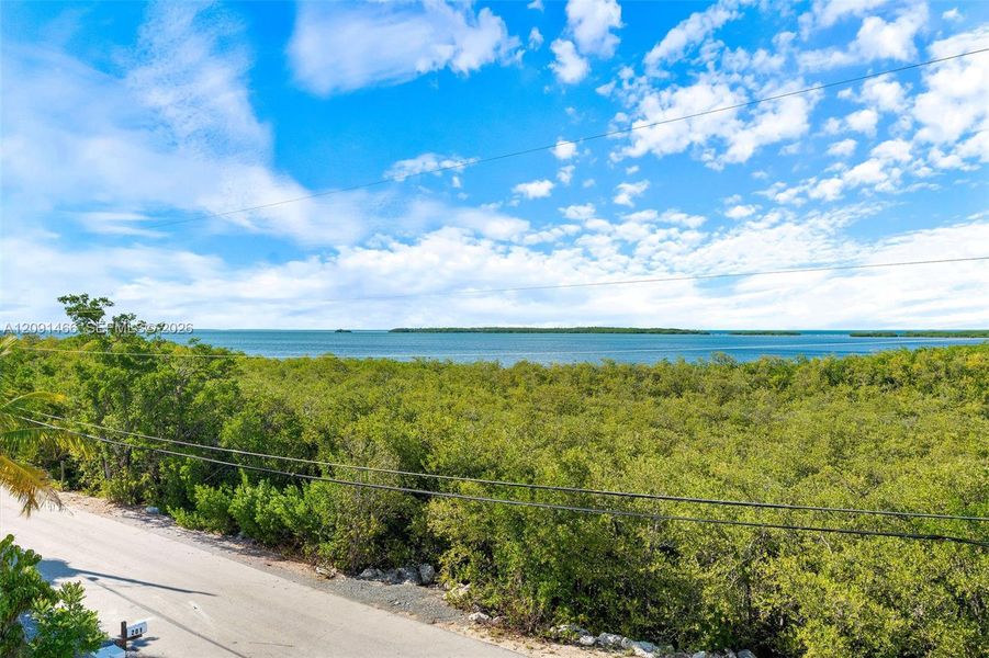 Natural landscape and outdoor views near  in Tavernier (Image 89).