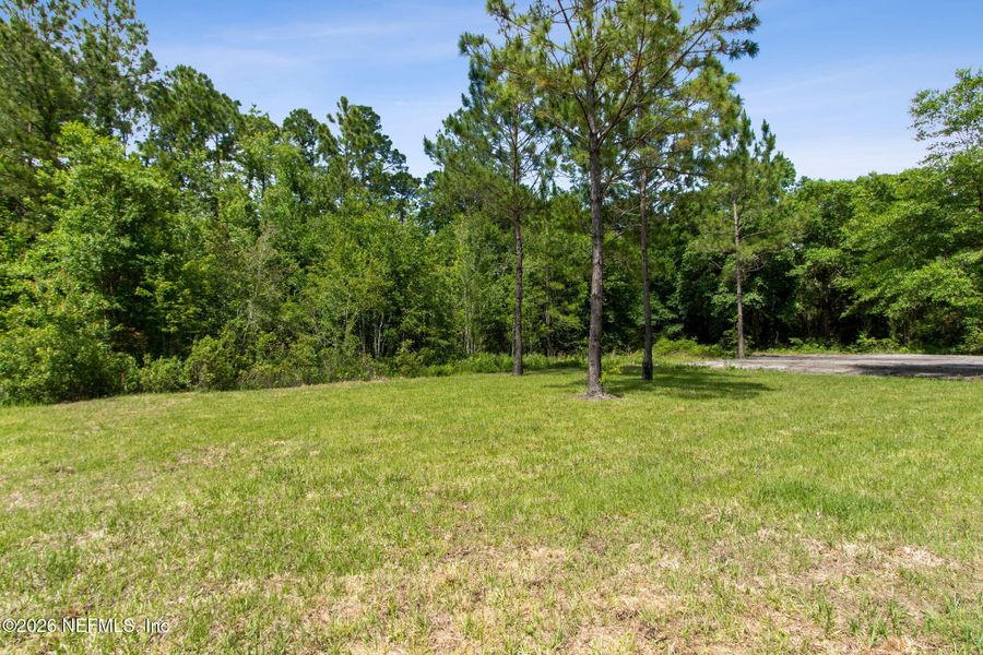 Natural landscape and outdoor views near in Jacksonville (Image 32). Natural landscape and outdoor views near in Jacksonville (Image 32).