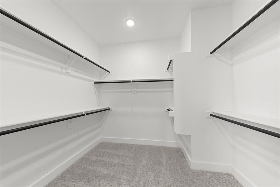 3100 Lake Village  Closet