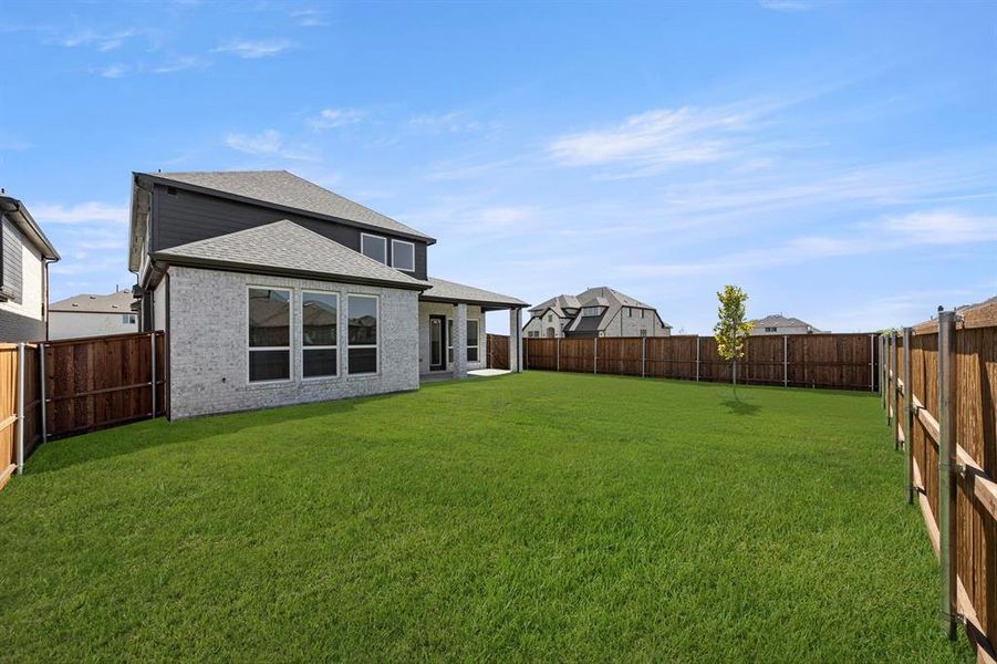 27. 4717 Allende - Back (2)