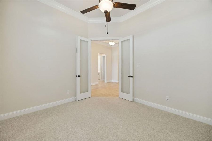 5-1016Sunflower_005 5-1016Sunflower_005