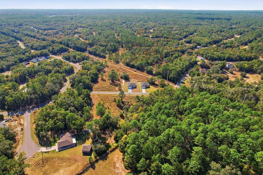 Natural landscape and outdoor views near  in Citrus Springs (Image 42).